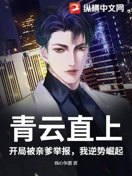 青云直上小说免费阅读全文